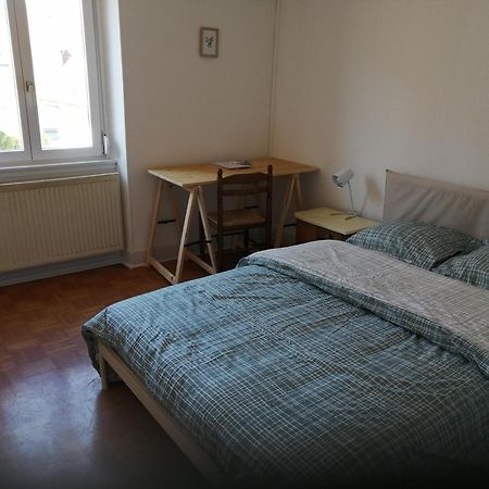 Appartement Entier, Proche Tram-Train Et Commodites, Parking Gratuit Mulhouse Extérieur photo