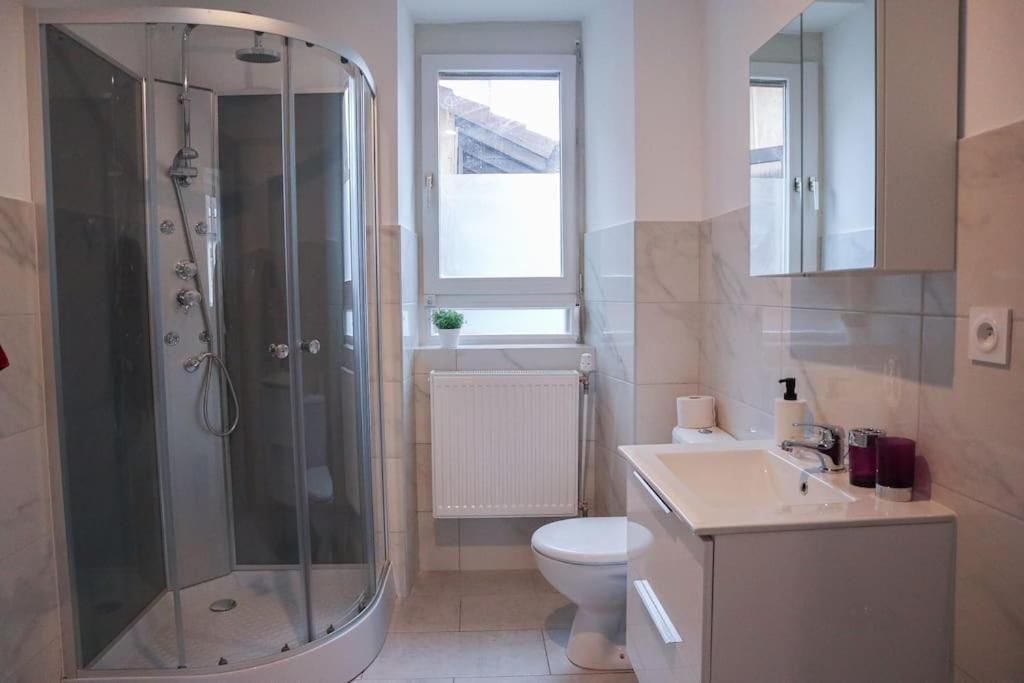 Appartement Entier, Proche Tram-Train Et Commodites, Parking Gratuit Mulhouse Extérieur photo